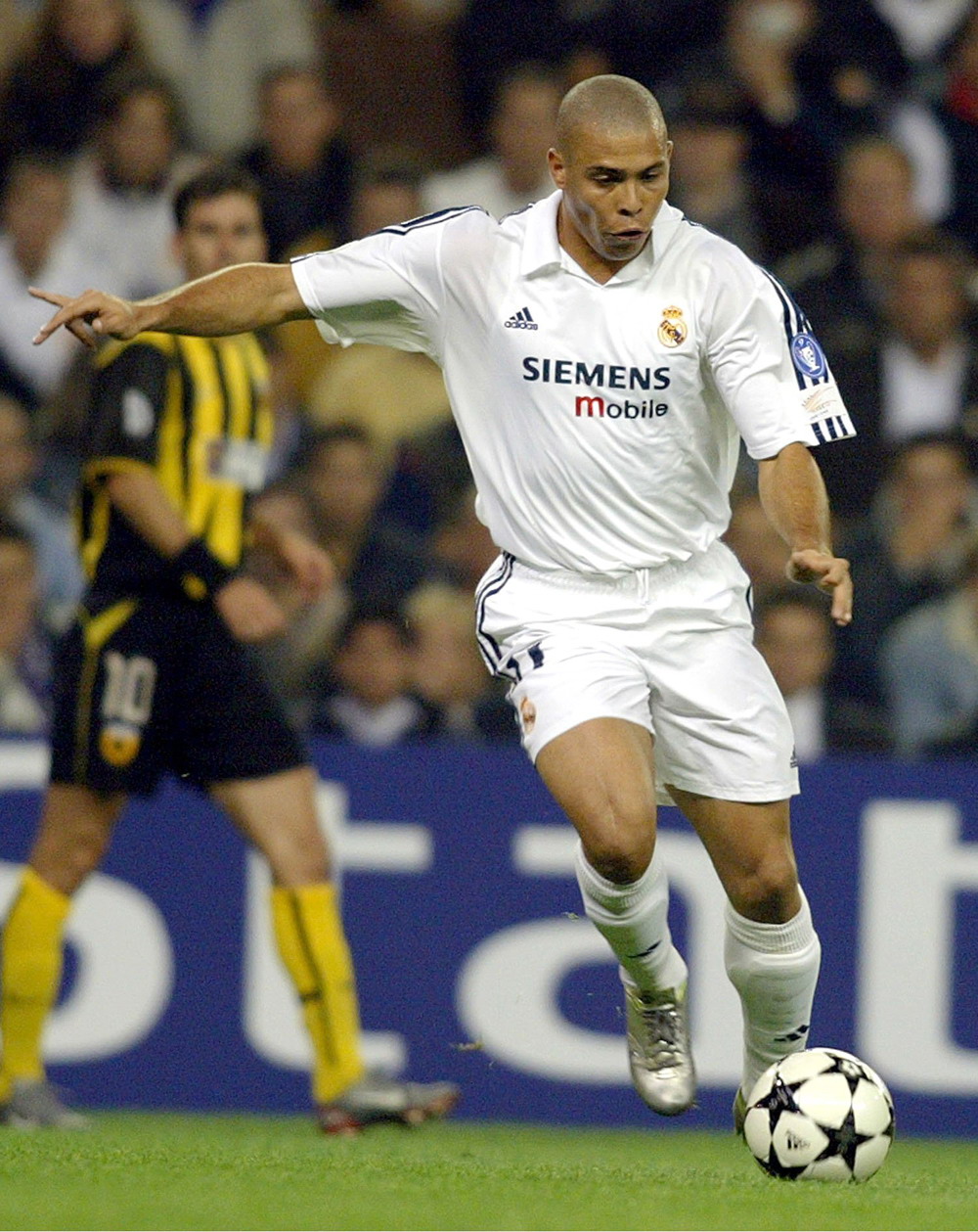 正从几段搞 正从几段搞